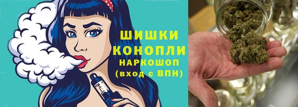 твердый Аркадак