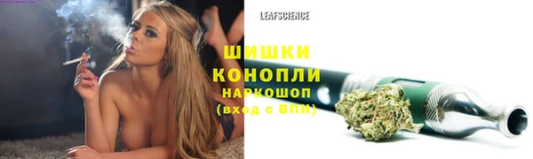 твердый Аркадак