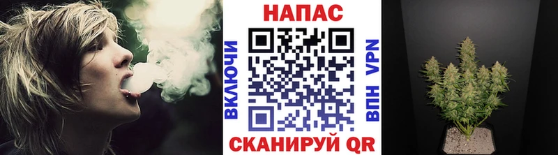 где продают   Баймак  Конопля индика 